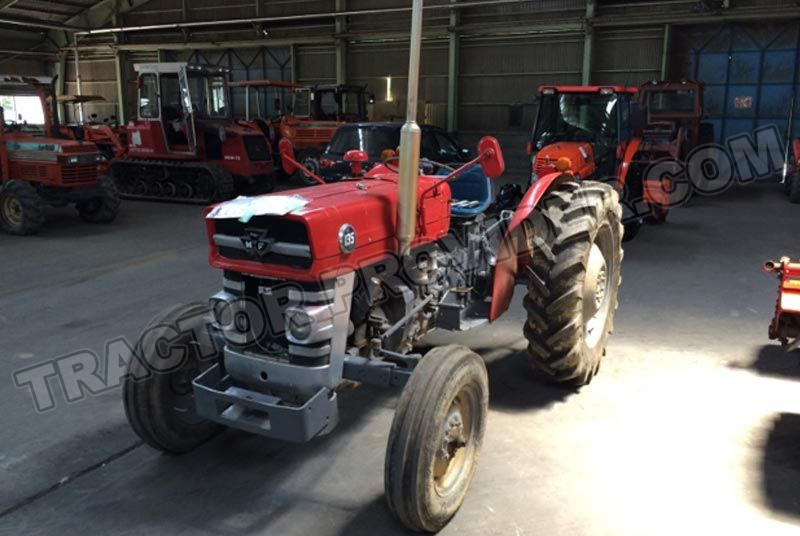 Massey Ferguson / MF-135